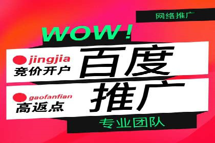 成功案例：SEM竞价托管的策略与效果